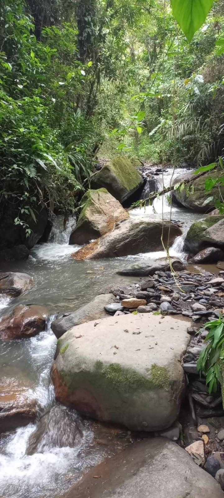 Finca Campestre San Miguelito Villa La Vega  Eksteriør bilde